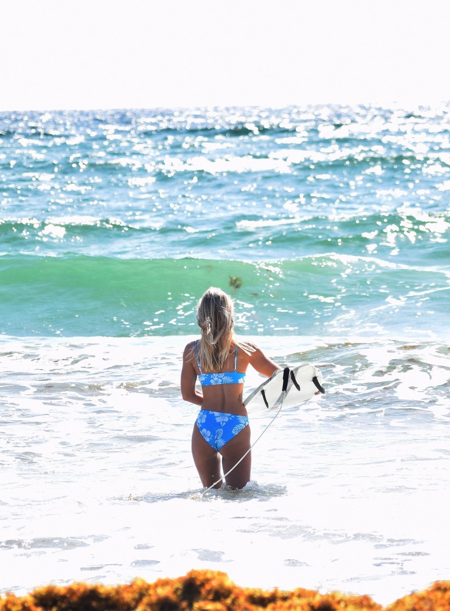 Blue Crush Basic Bottoms - Do Good Swimwear